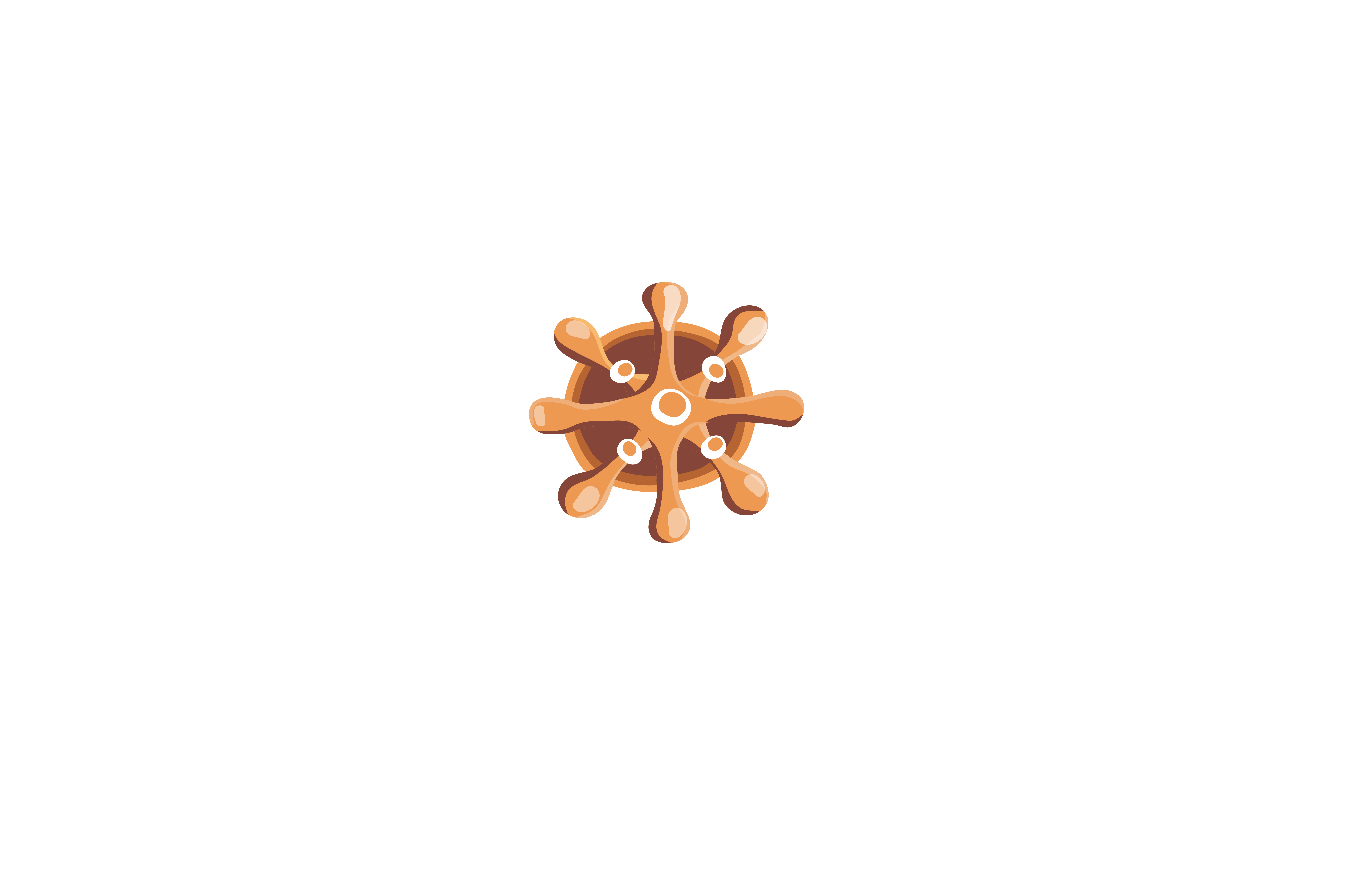 CDI Timonel