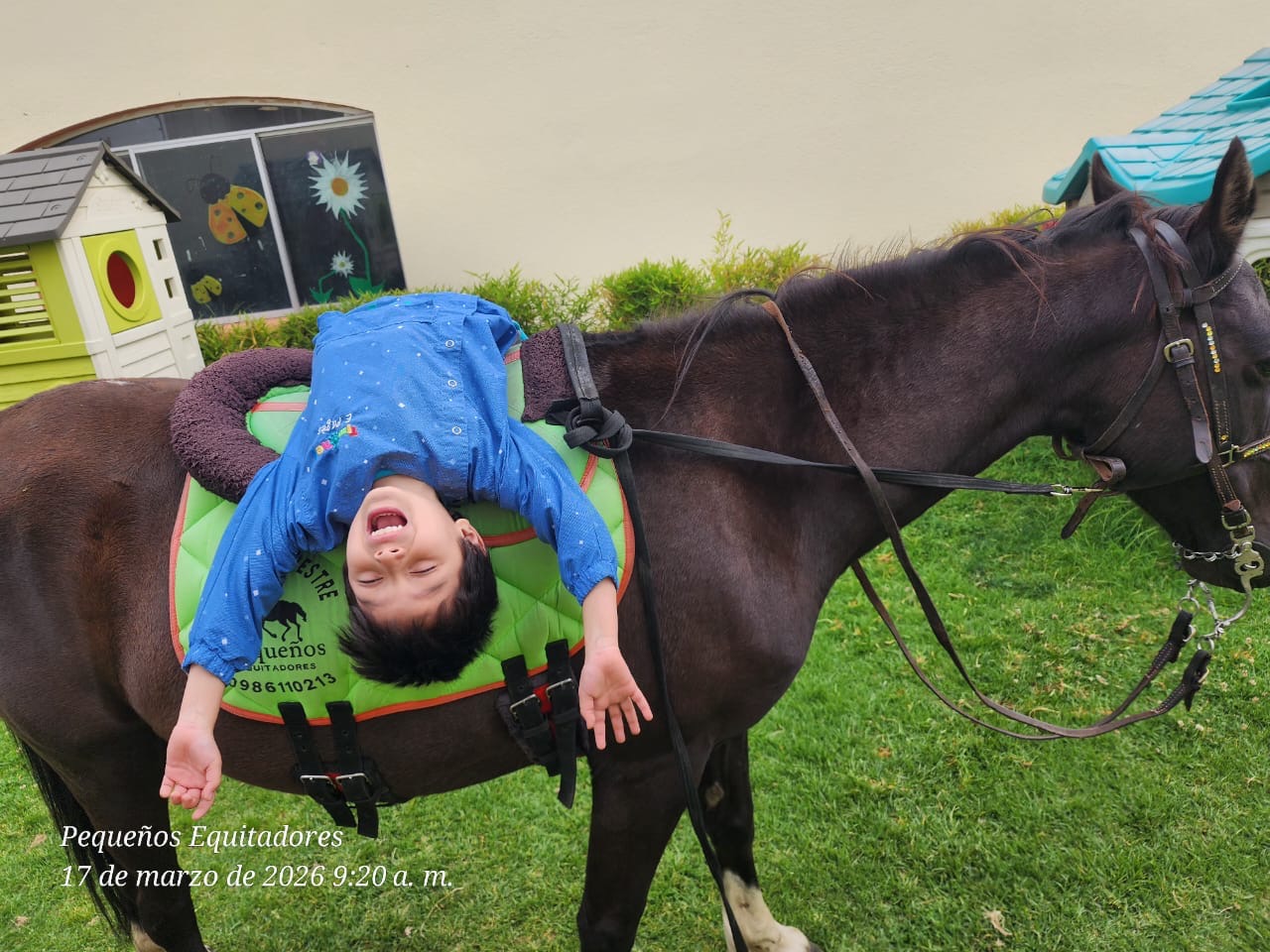 Equinoterapia